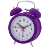  Viola