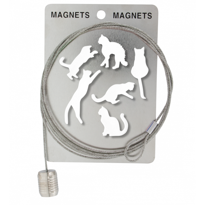 Câble porte photos et magnets - Magnetic Cable Chat blanc
