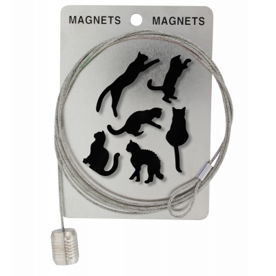 Câble porte photos et magnets - Magnetic Cable