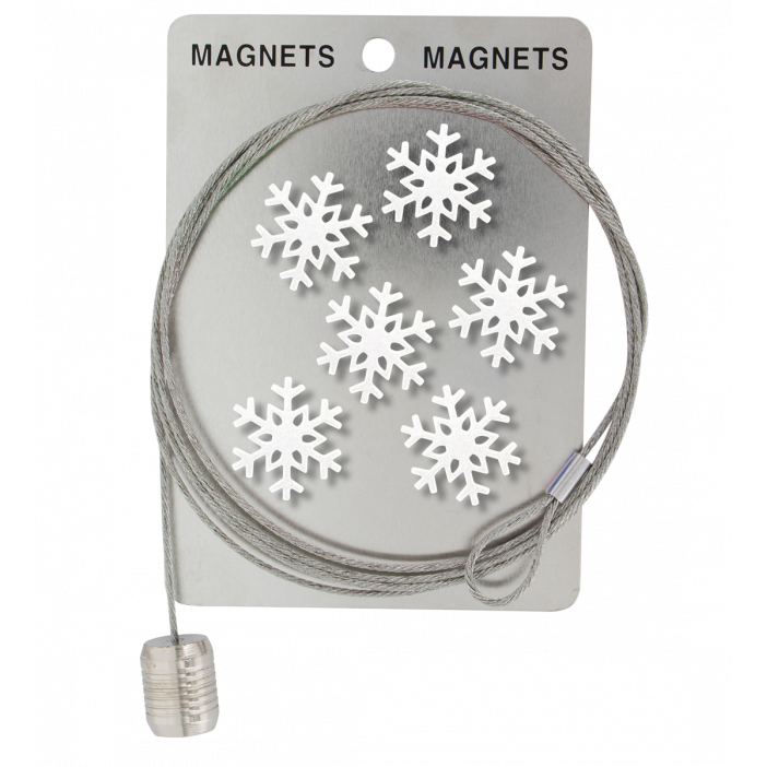 Câble porte photos et magnets - Magnetic Cable Flocon