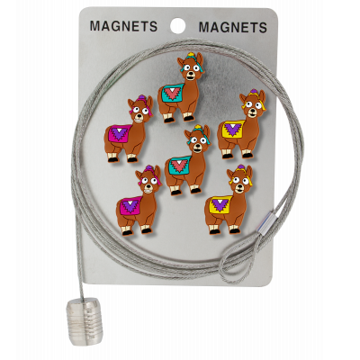 Câble porte photos et magnets - Magnetic Cable - Lama