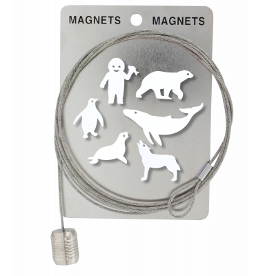 Câble porte photos et magnets - Magnetic Cable - Banquise