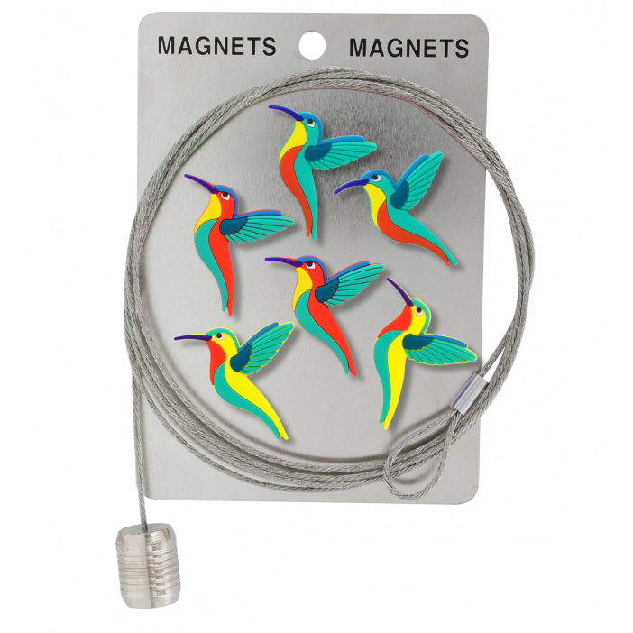 Câble porte photos et magnets - Magnetic Cable Colibris Rouge