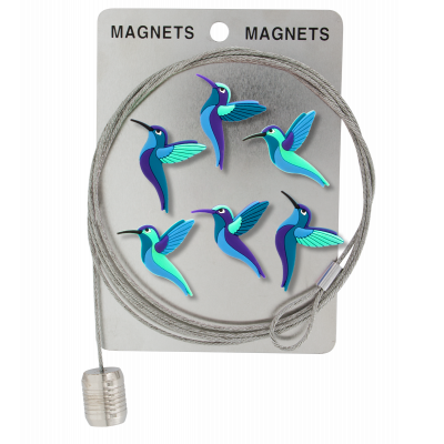 Câble porte photos et magnets - Magnetic Cable - Colibris Bleu
