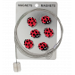  Coccinelle