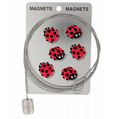 Câble porte photos et magnets - Magnetic Cable - Coccinelle