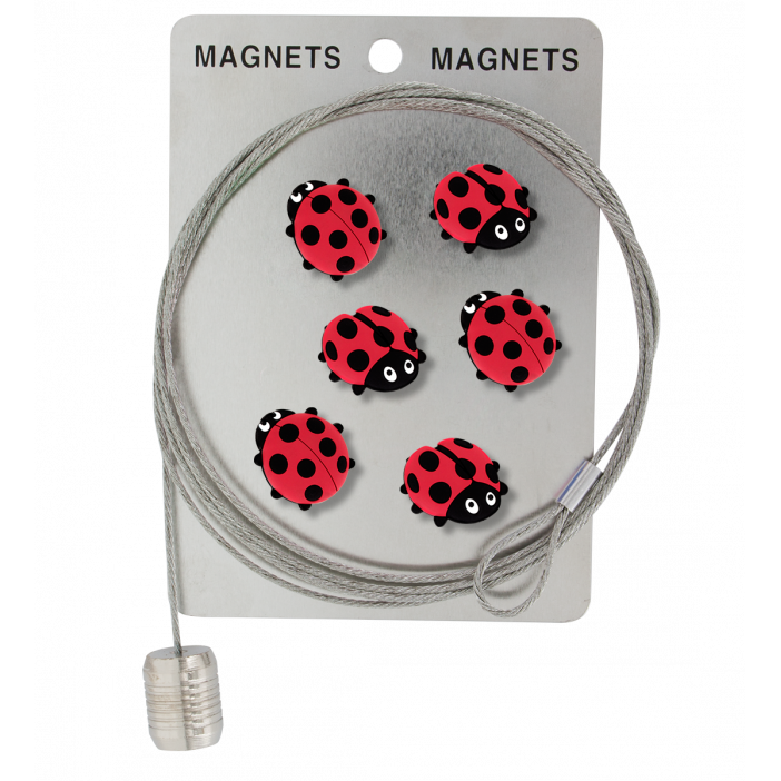 Câble porte photos et magnets - Magnetic Cable Coccinelle