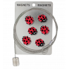  Coccinelle