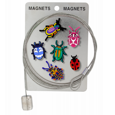 Câble porte photos et magnets - Magnetic Cable - Insect