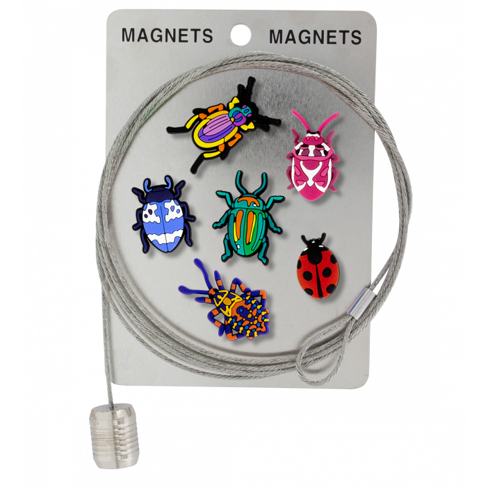 Câble porte photos et magnets - Magnetic Cable Insect