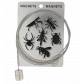  Insecte Noir