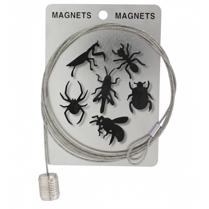 Câble porte photos et magnets - Magnetic Cable Insecte Noir
