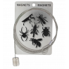  Insecte Noir