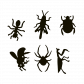 Set di calamite - Magnetic Sapiens