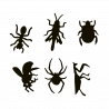  Insect black