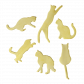 Set di calamite - Magnetic Cranio