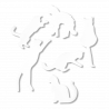  Gatto bianco