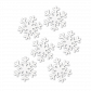  Fiocco di neve