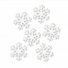  Fiocco di neve