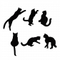  Gatto nero