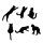 Set Magnete - Magnetic