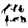  Gatto nero