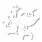 Set di calamite - Magnetic Gatto