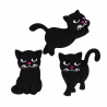  Schwarze Katze