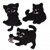  Souris