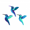  Colibris Bleu