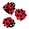  Marienkäfer