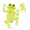  Grenouille