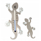  Lézard