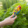 Grande brosse à cheveux - Ladypop Large