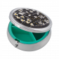 Pillendose - Posologik Blue Owl