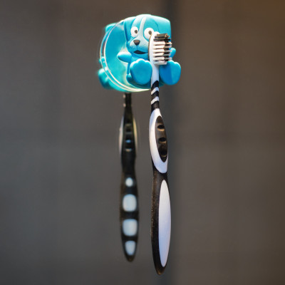 Support porte brosse à dents - Ani-toothi