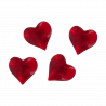  Cuore