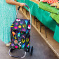 Chariot de courses - Trolly Songe de Printemps