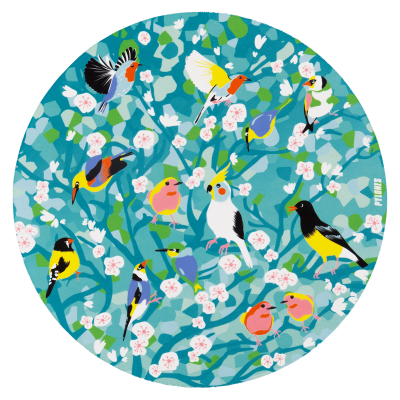 Tapis de souris - Tapiron - Birds