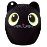  Chat noir