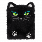  Black Cat