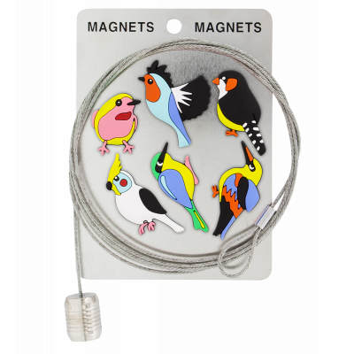 Câble porte photos et magnets - Magnetic Cable - Oiseau