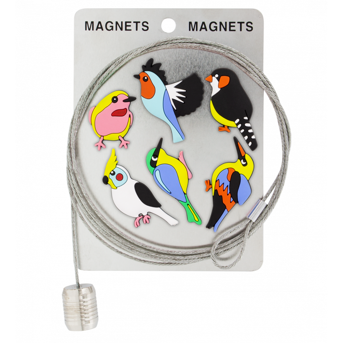 Câble porte photos et magnets - Magnetic Cable Oiseau