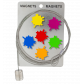 Câble porte photos et magnets - Magnetic Cable Chat blanc