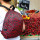 Sac à dos pliable - Pocket Bag