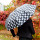 Parapluie - Parapli
