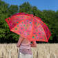 Parapluie - Rainbeau Cha Cha Cha