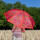 Parapluie - Rainbeau