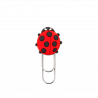  Coccinella