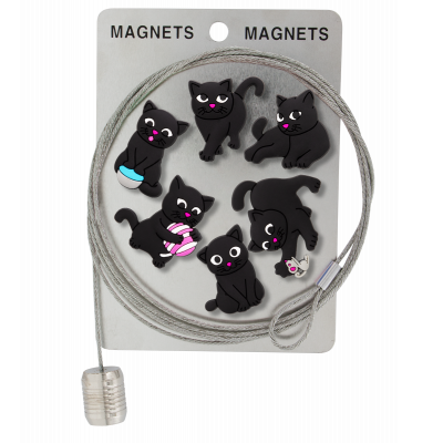 Câble porte photos et magnets - Magnetic Cable - Chat